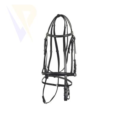 Leather Bridle