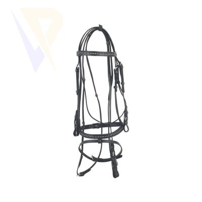 Leather Bridle