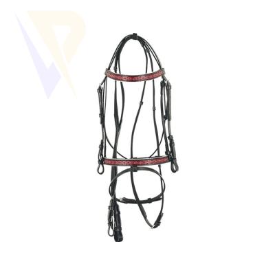 Leather Bridle