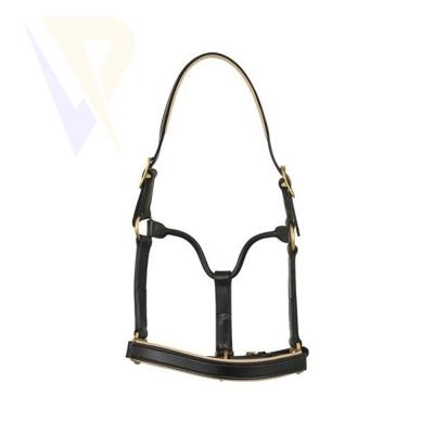 Leather Halter